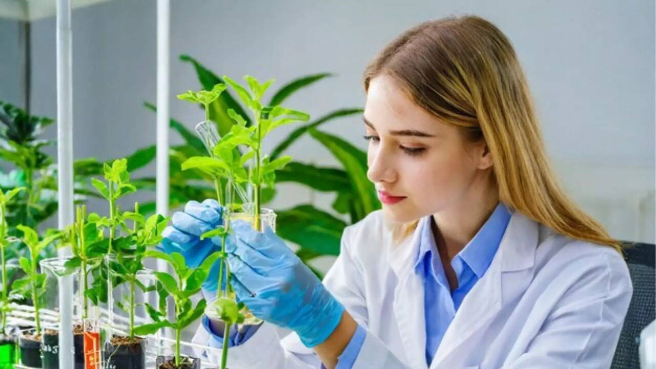  ரூ.42000 வரை சம்பளம்...நேர்காணல் மட்டும்தான்.. மத்திய வேளாண் நிறுவனத்தில் வேலை வாய்ப்பு.. 