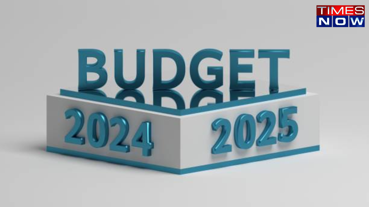 budget 2024, union budget 2024, budget 2024 timing, budget timing, budget nirmala sitharaman, budget 2024 date, union budget 2024 timing, nirmala sitharaman