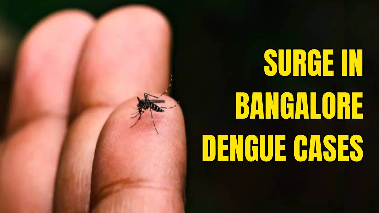 Bangalore Dengue Cases