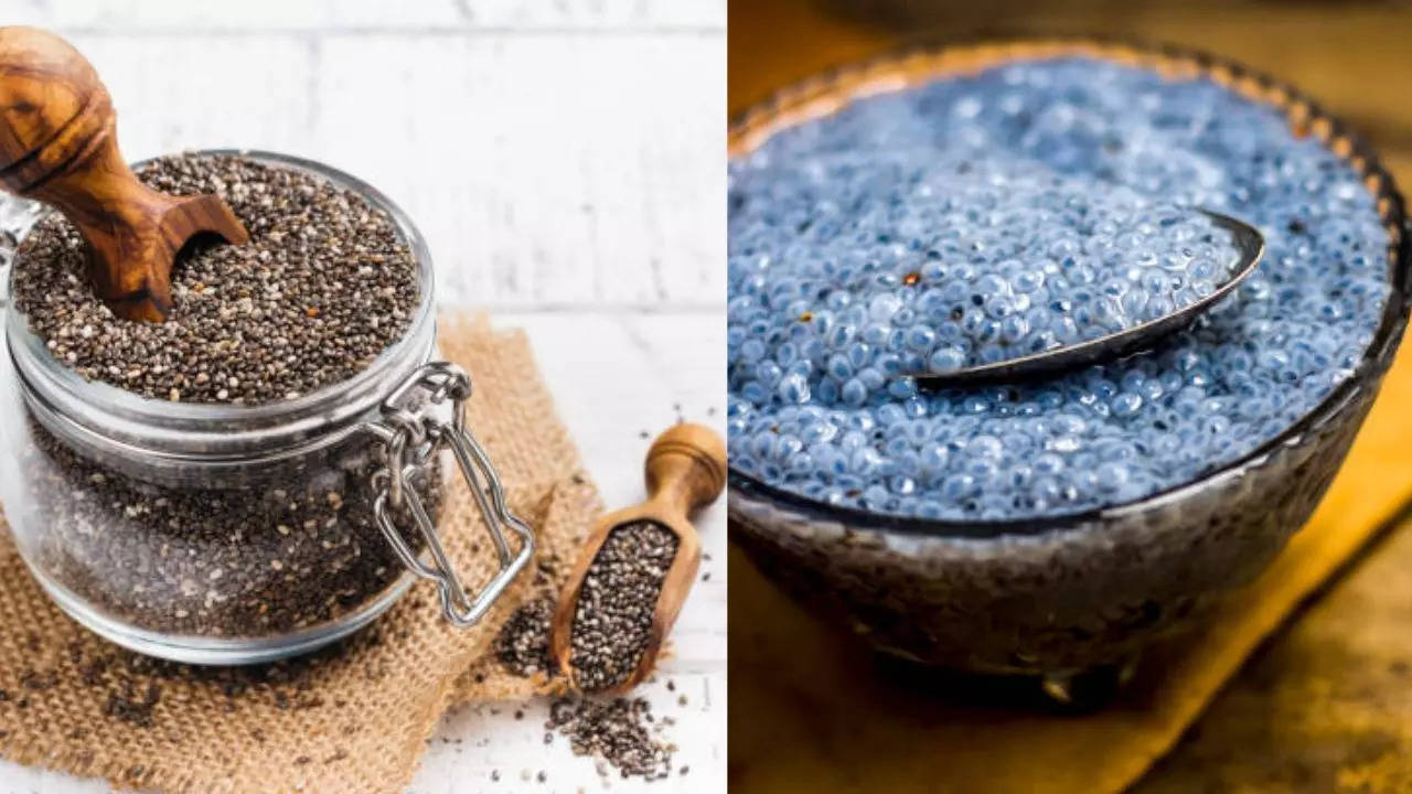 Chia Seeds Vs Sabja Seeds: Which Is Healthier? Expert Answers