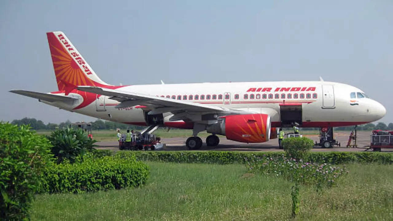 Representative Image: Air India Flight