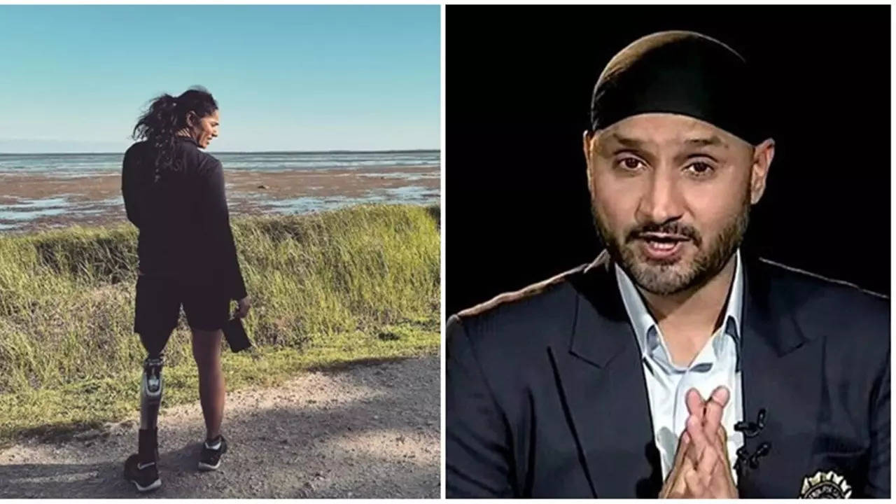 Harbhajan Singh Apologises, Deletes Instagram Video After Ex-India Cricketers Accused Of 'Making Fun Of 1.2 Billion Disabled People'