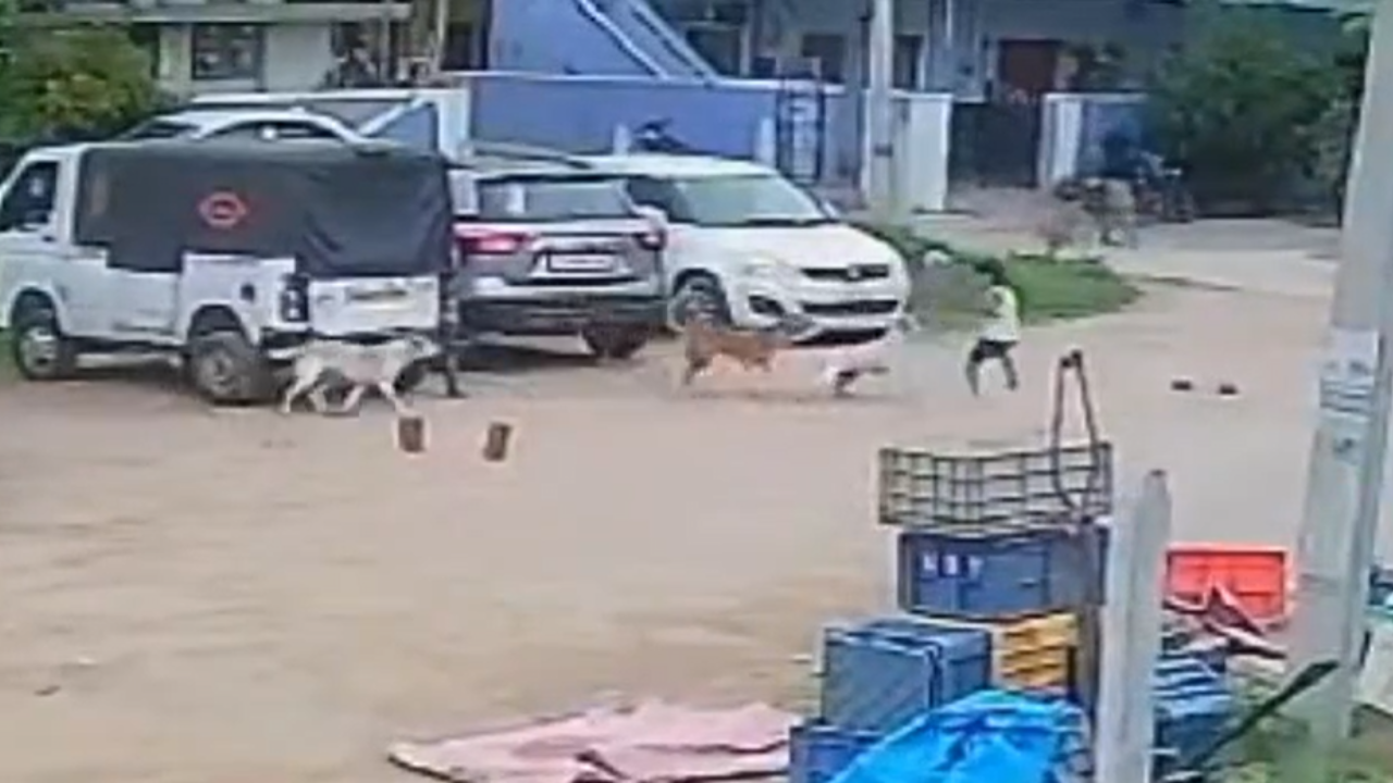 hyderabad boy four year old attacked chased by dogs video shows father running to save him