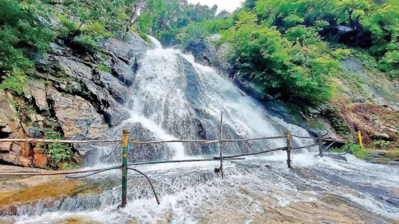  வால்பாறையில் கனமழை: குரங்கு அருவி எனப்படும் ஆழியார் கவியருவி தொடர்ந்து 3வது நாளாக மூடல்.. 