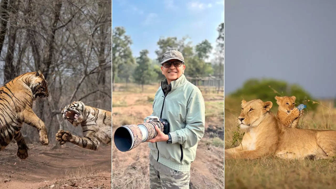 Wildlife photographer Parag Bhatt talks about his love for wildlife