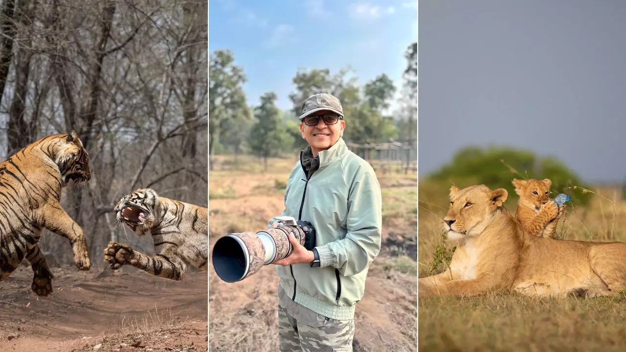 Wildlife photographer Parag Bhatt talks about his love for wildlife