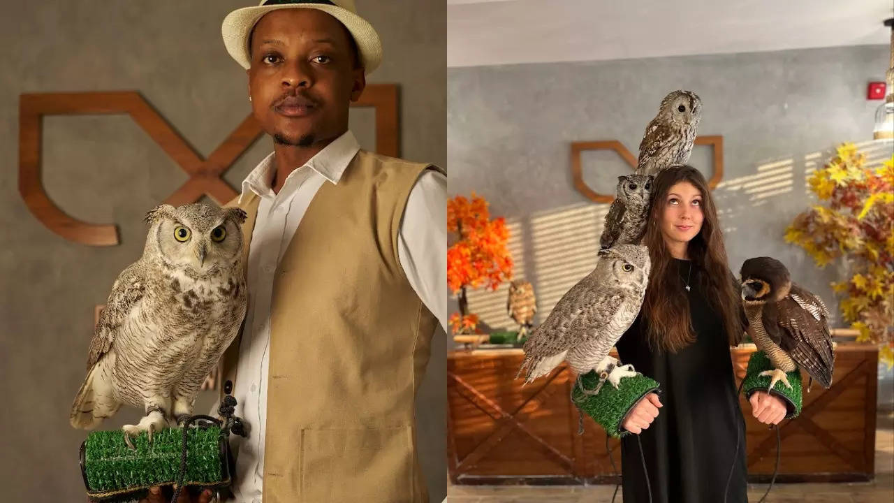 Mohamed Al Shehhi, the owner, says owl well-being is a top priority.| Boomah, The Owl Cafe