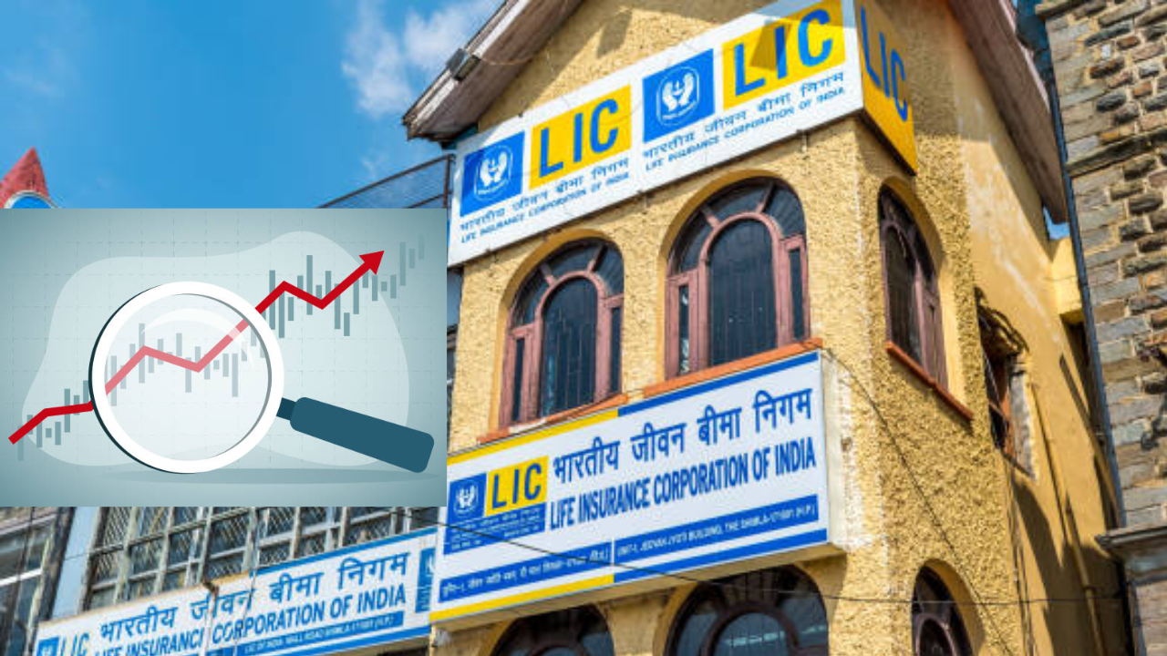 stock price, share price, lic, sensex, nifty, lic share price, lic stock price, lic stock performance, lic share performance, lic india