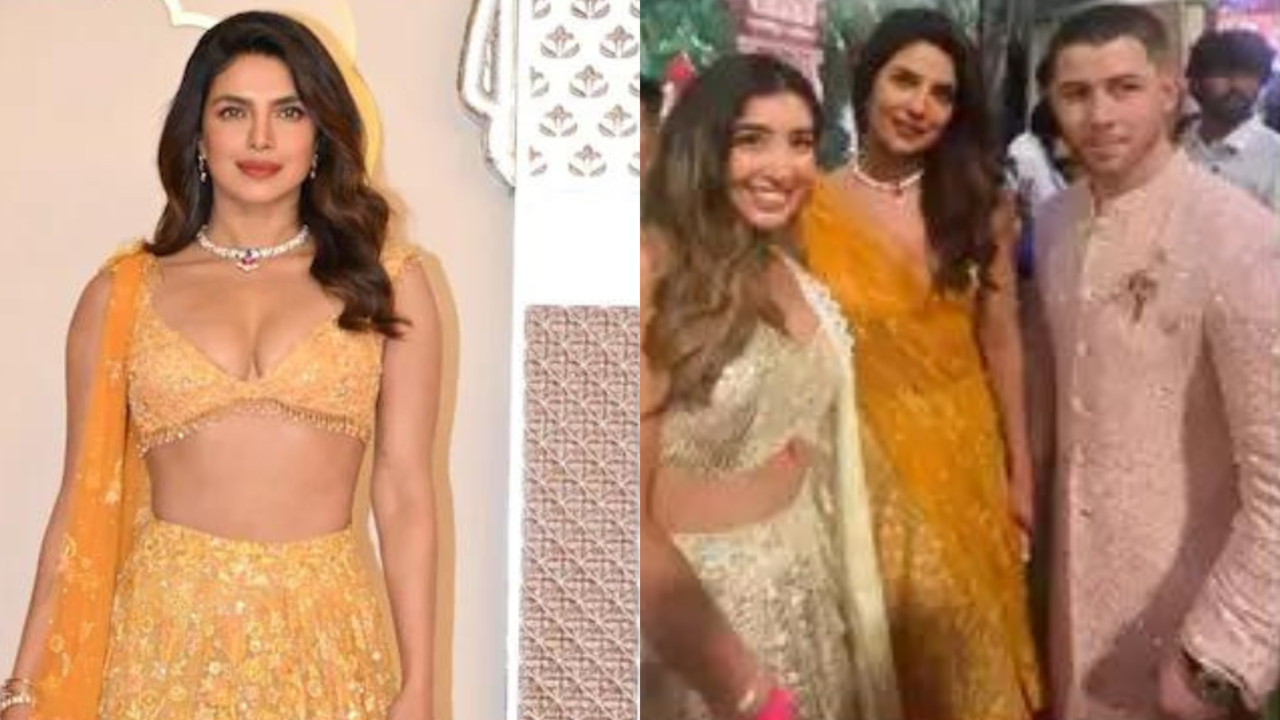 Julia Chafe Apologizes For Criticising Priyanka Chopra At Anant Radhika Wedding| WATCH