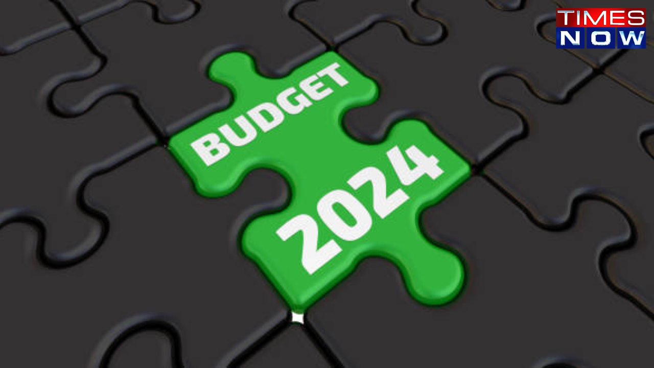 budget 2024, union budget 2024, budget 2024 terms, union budget 2024, important terms of budget, budget terms, important budget terms to understand it, budget