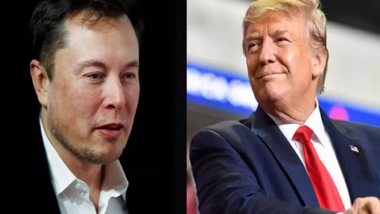 Elon Musk Donald Trump