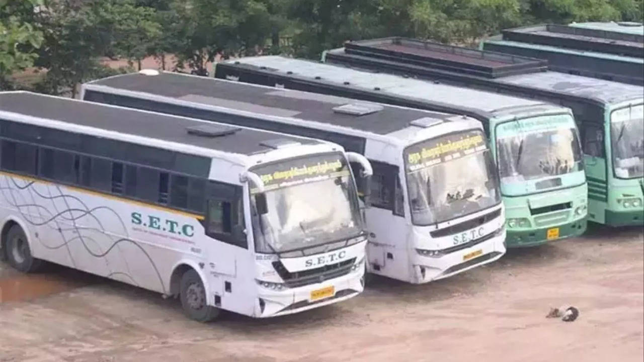 Setc Buses