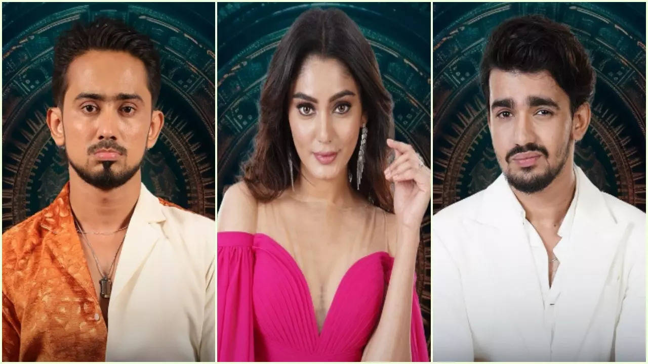 Bigg Boss OTT 3 Week 4 Voting Process: How To Save Adnaan, Sana, Vishal And Other 4 Contestants From Eviction?