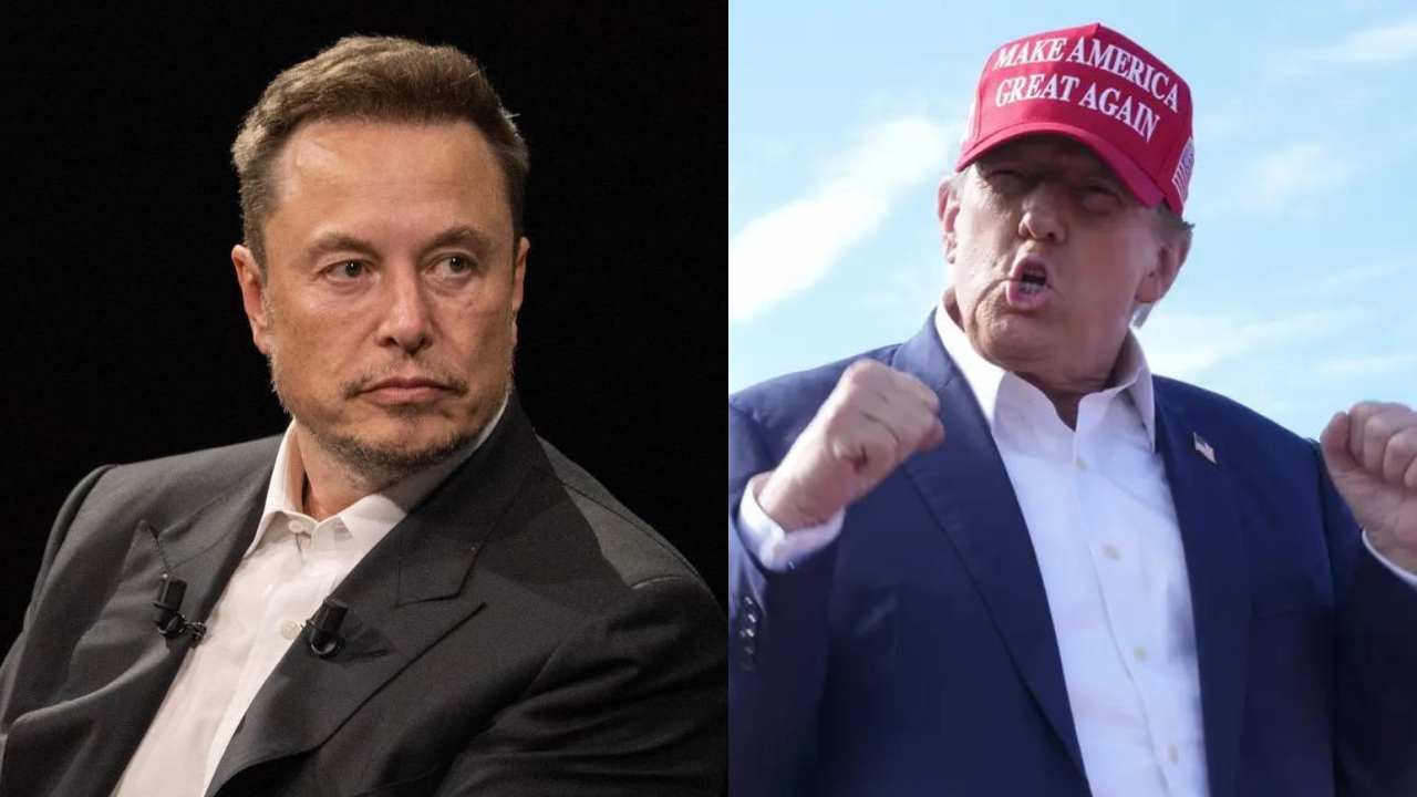 Donald Trump Loves Elon Musk