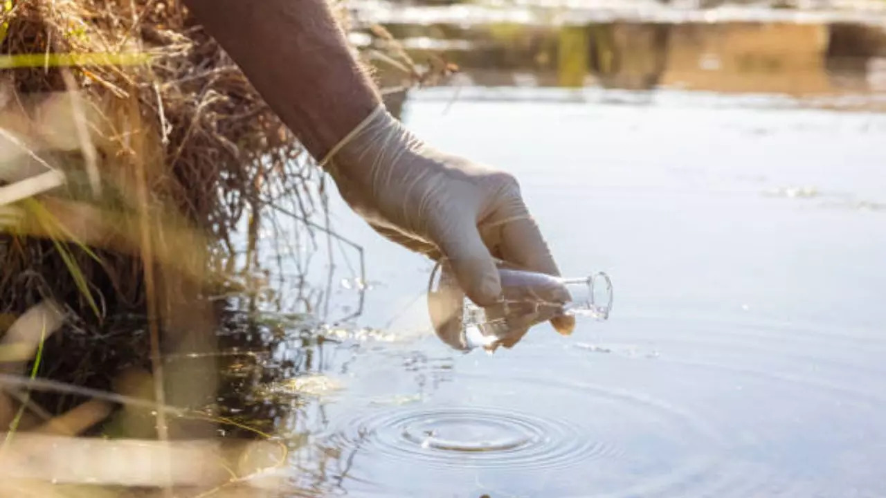 Representative Image: Fecal Coliform Bacteria Levels Found In Drinking Water In Tambaram