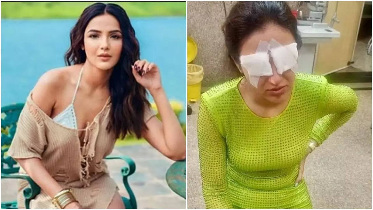 Jasmin Bhasin Undergoes Treatment As Her Corneas Get Damaged: 'I Can't See'