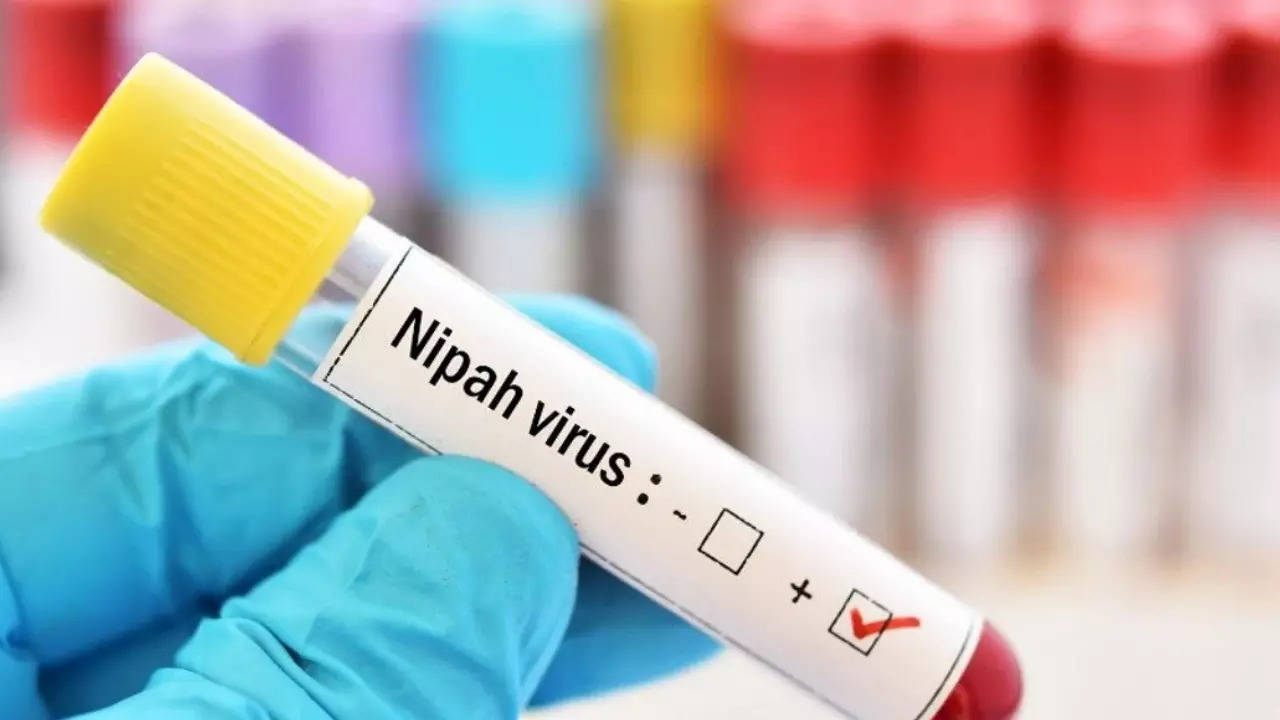 NIPAH Virus