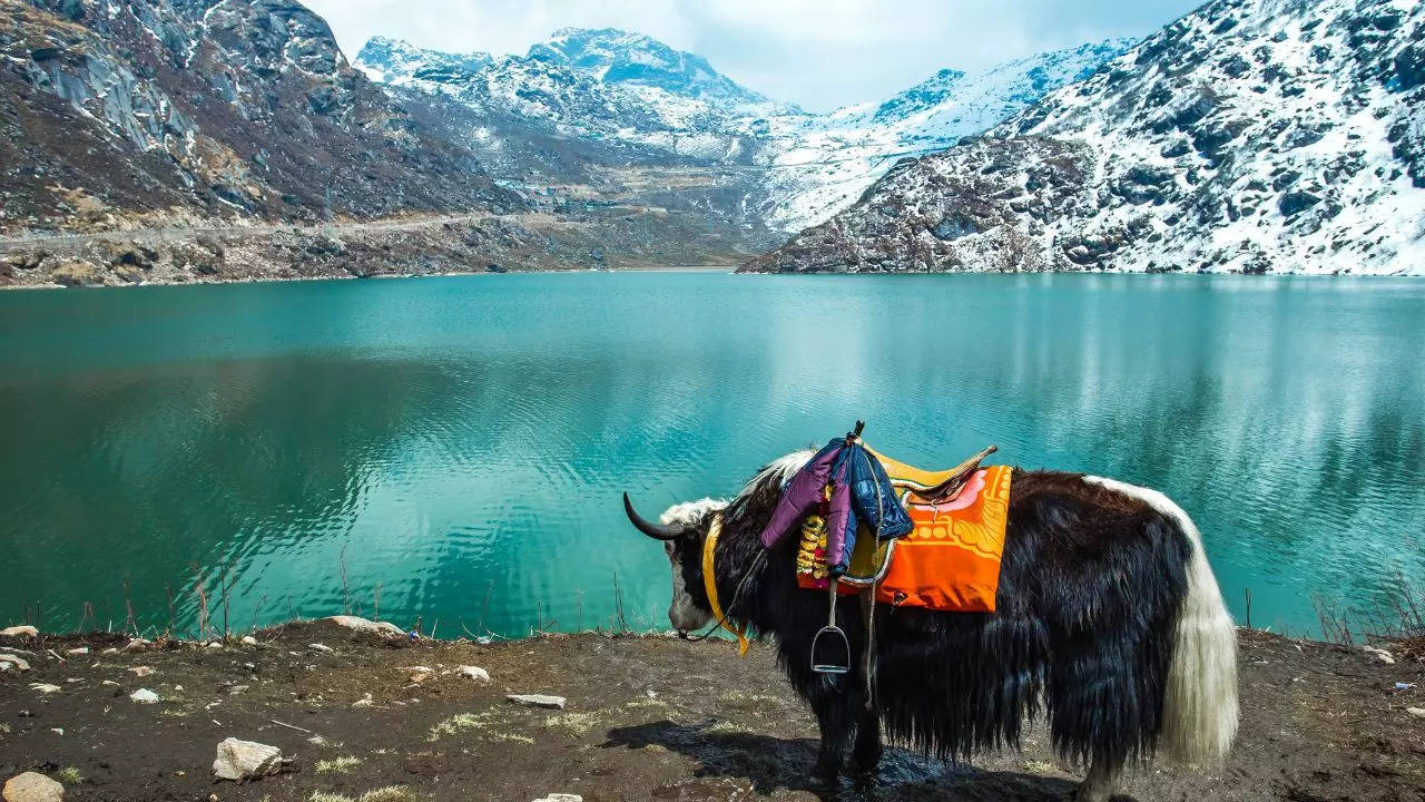 Travellers To Sikkim Will Now Have To Carry Garbage Bags. Credit: Canva