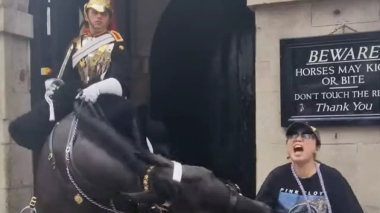 King's Guard horse bites a tourist on the arm