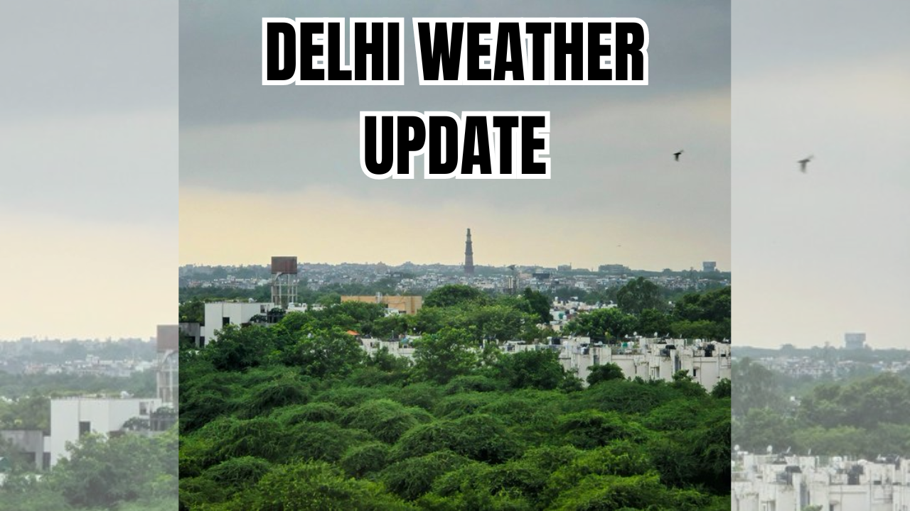 Delhi rains (Twitter/@DrAmbrishMithal)