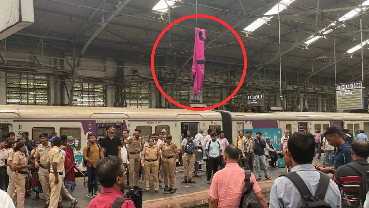 Local Train Services Disrupted As Raincoat Gets Stuck On An Overhead Wire