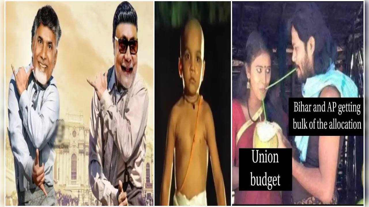 Memes on union budget 2024