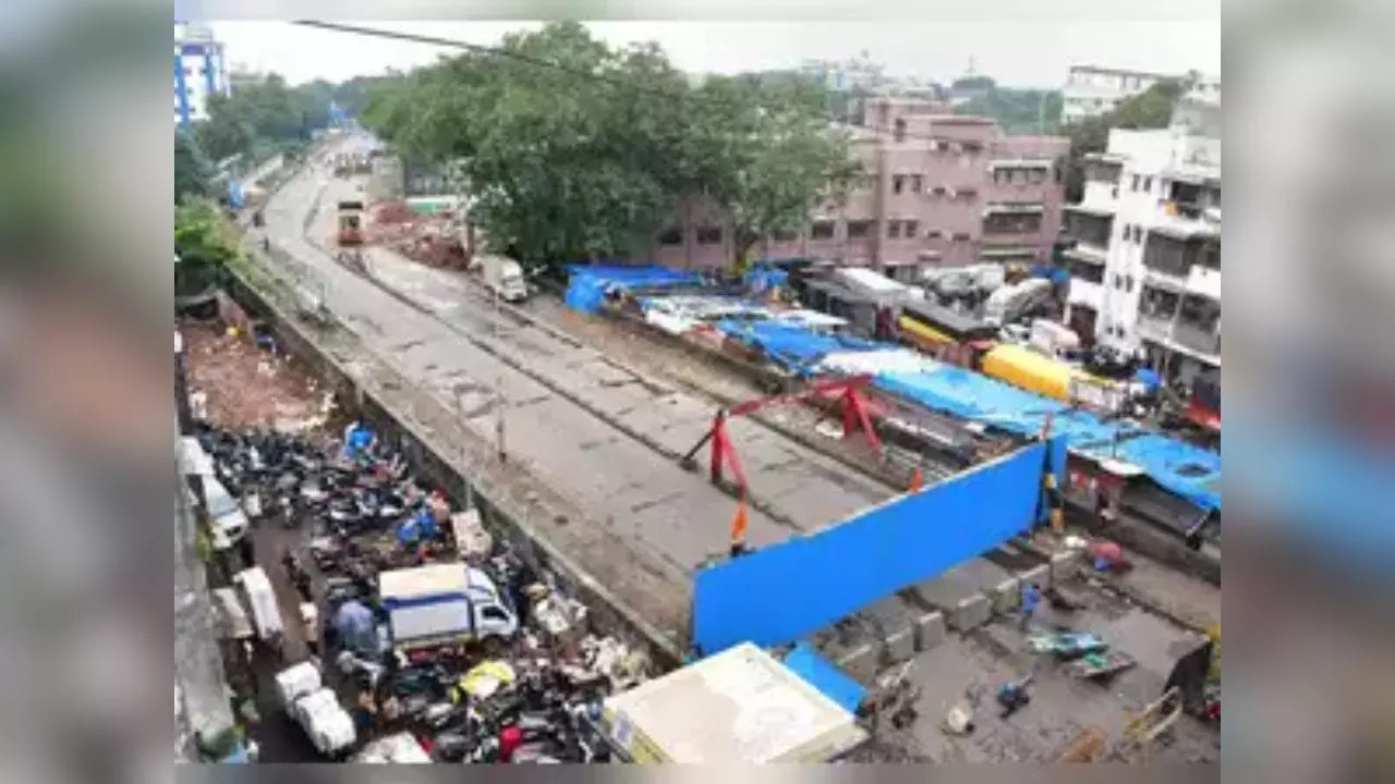 Mumbai's Sion bridge