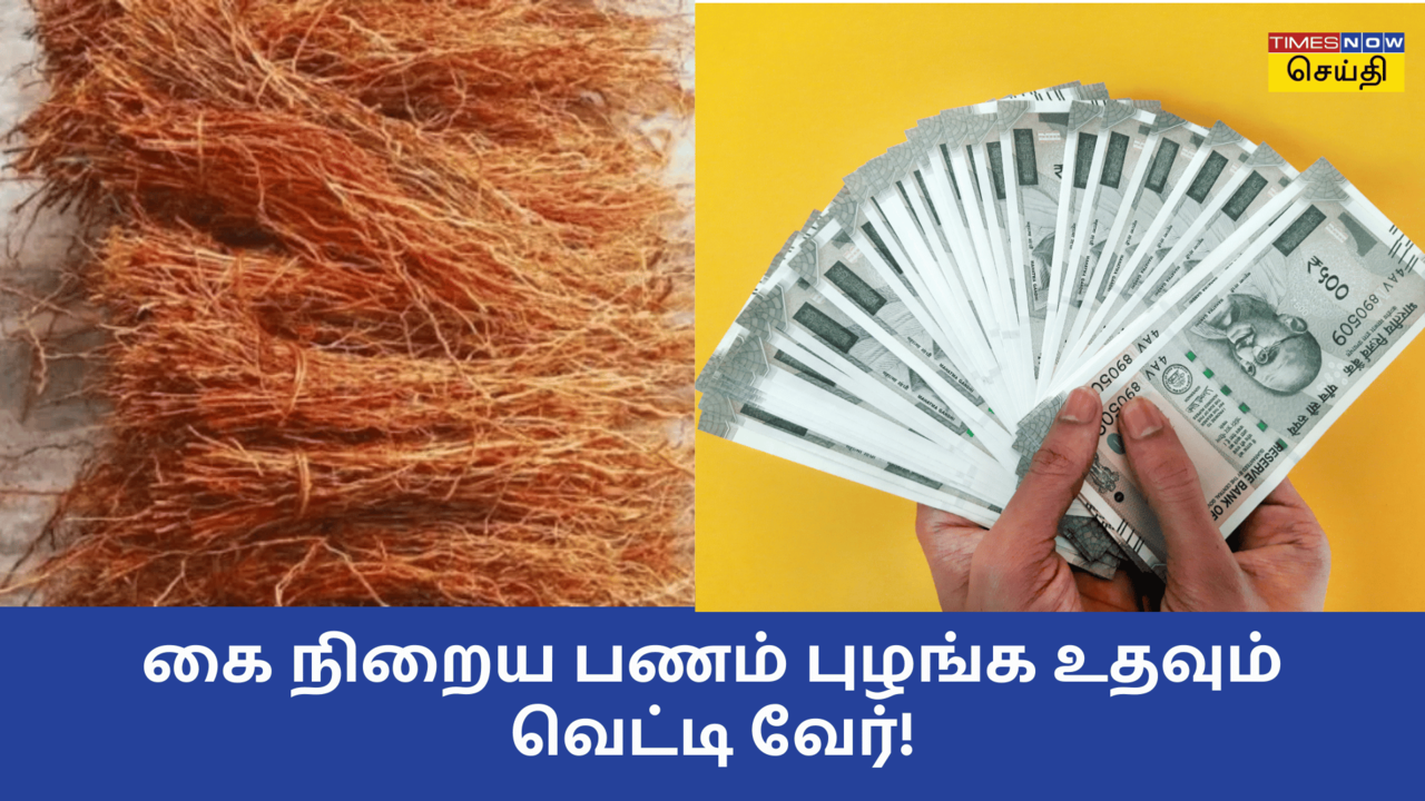 வெட்டி வேர் 