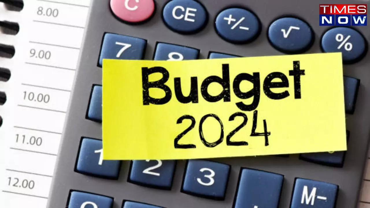 budget, budget 2024, income tax announcement, income tax proposal, new tax proposal