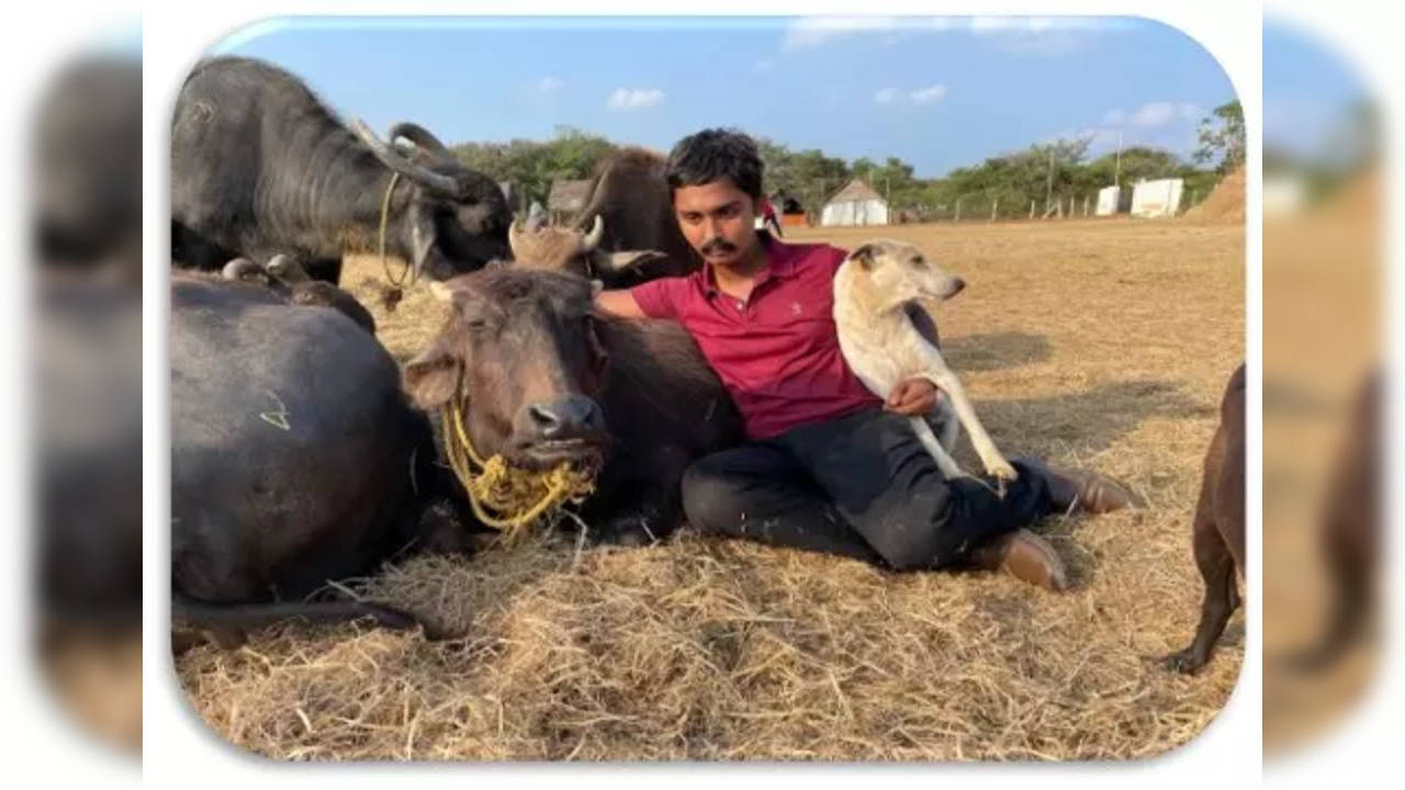 Sai Vignesh has saved over 800 animals living in his sanctuary