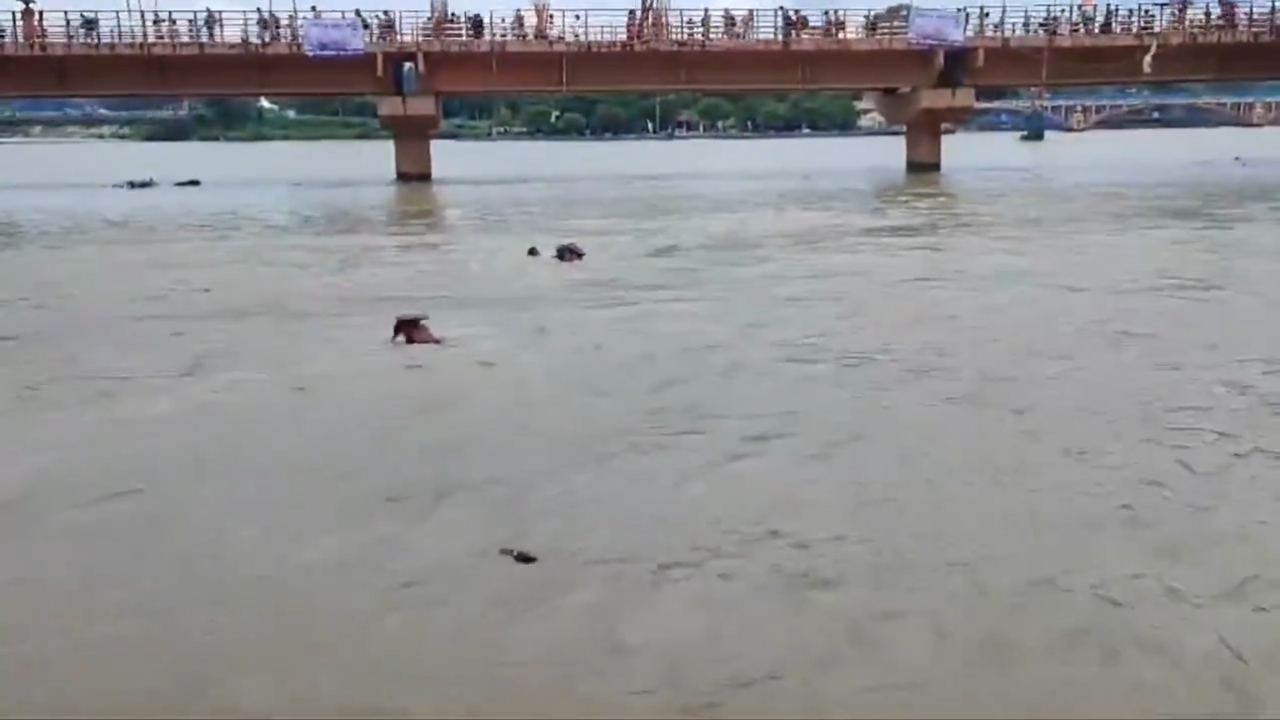 Muslim SDRF Personnel Saves 5 Kanwariyas From Drowning