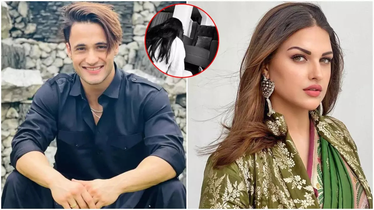 Asim Riaz Spends Time With Mystery Girl, Ex-Girlfriend Himanshi Khurana Reacts With Cryptic Post