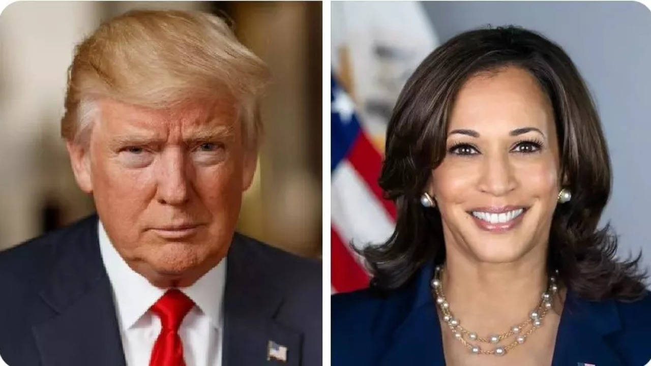 Kamala Harris vs Donald Trump: Who Is Ahead In Latest Polls?