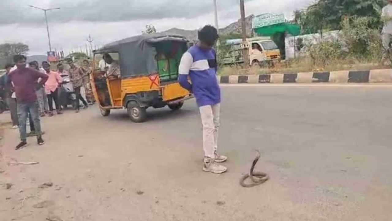 Watch: Drunk Man Trying To Play With Cobra Ends Up….