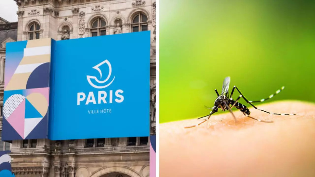 France says all set to combat dengue spread in Paris olympics 2024