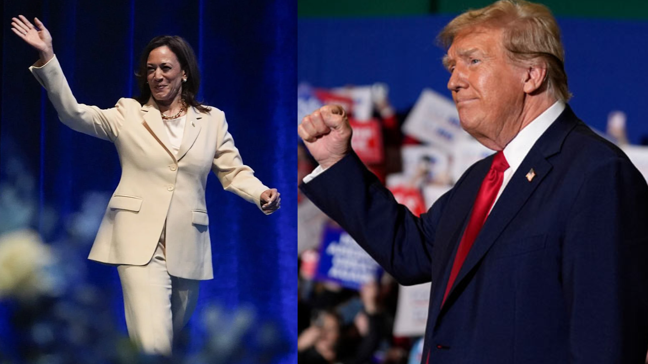 kamala harris trump