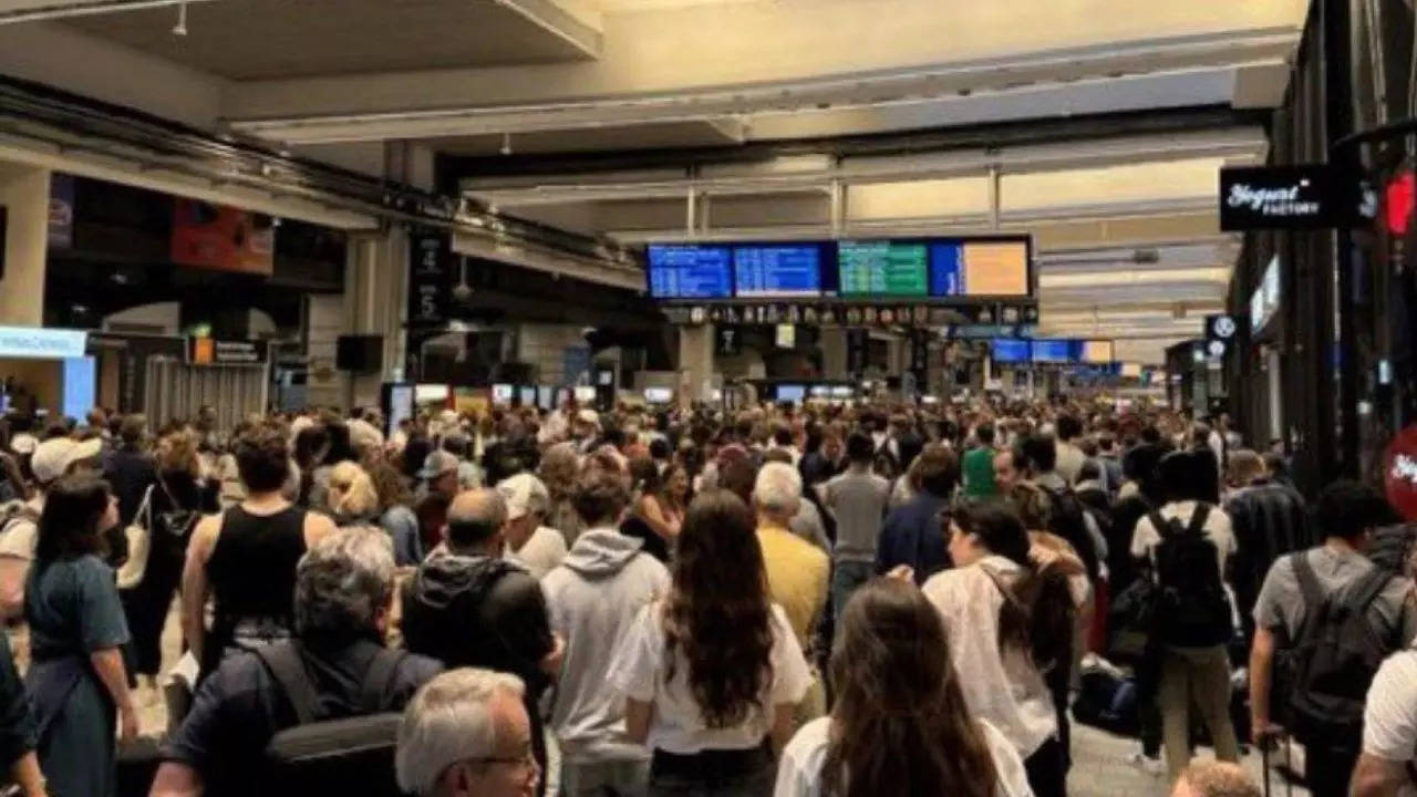 Long queues have formed at Montparnasse station after rail services disrupted in France