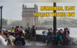 Mumbai To Take A Breather From Extreme Showers As IMD Forecast Moderate Rainfall Till July-End