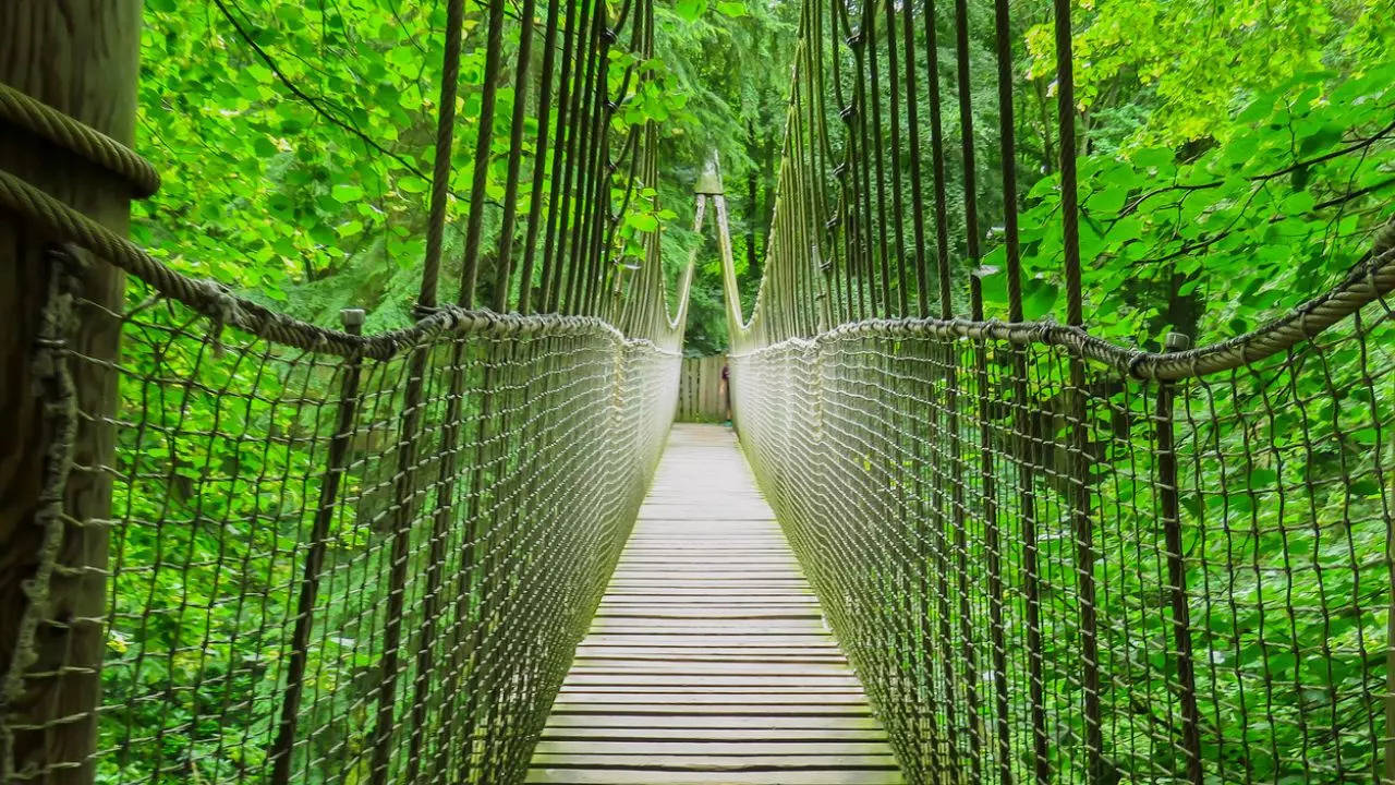 The Alnwick garden