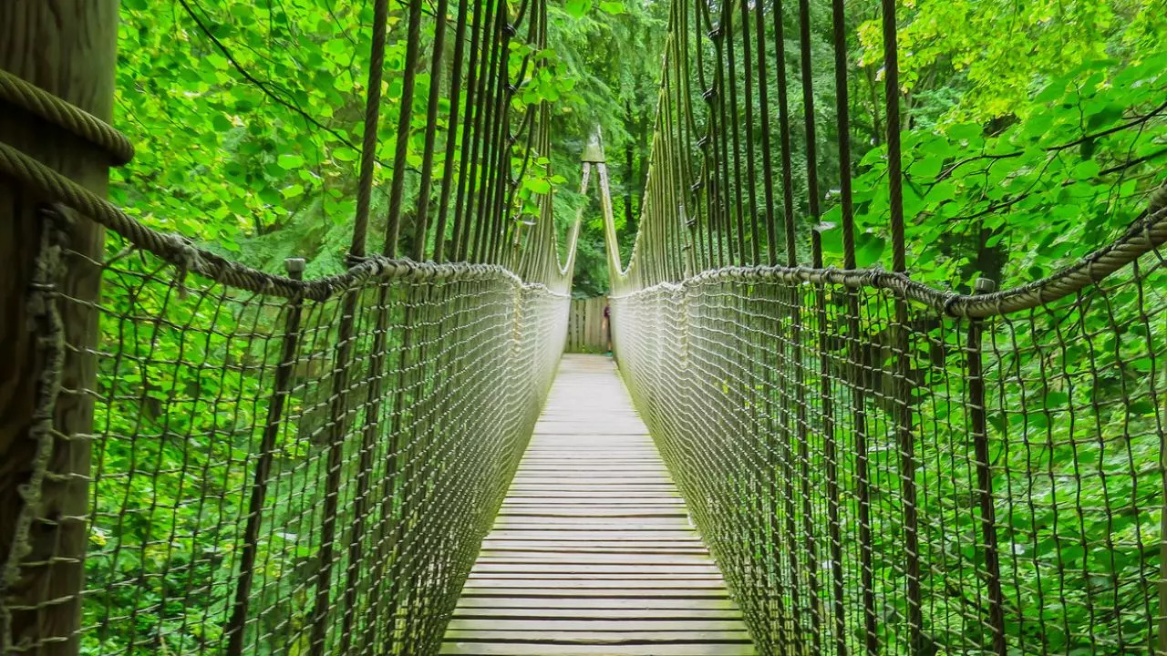 The Alnwick garden