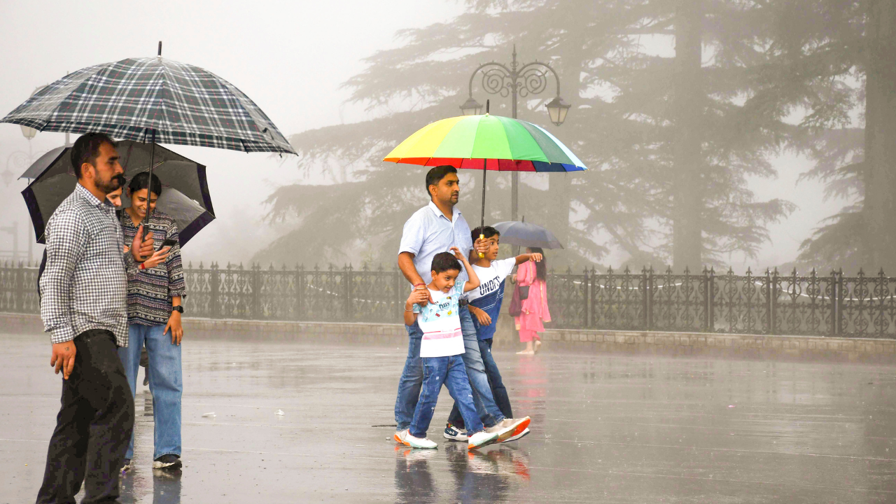 himachal rains