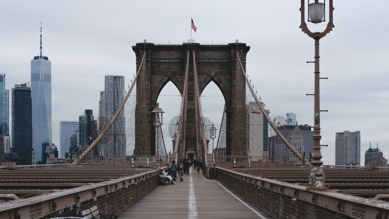 Brooklyn Bridge Protest