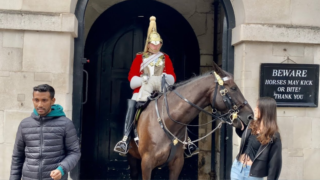 UK King’s Guard horse (Photo: X)