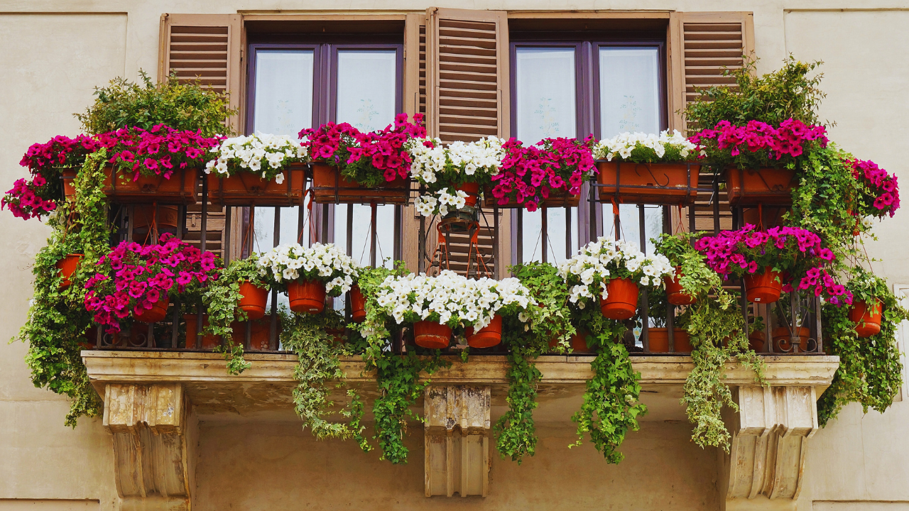 5 different ideas to redecorate your balcony using these simple decor pieces