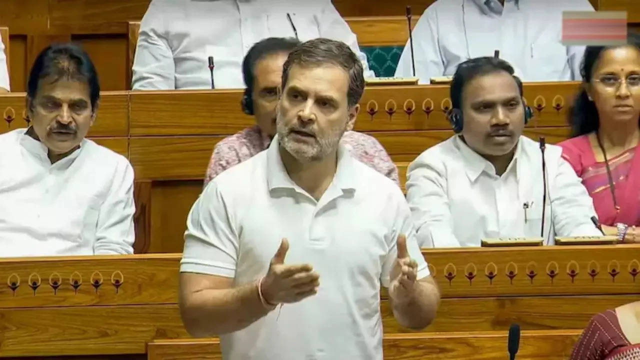 Rahul Gandhi in Lok Sabha on Monday