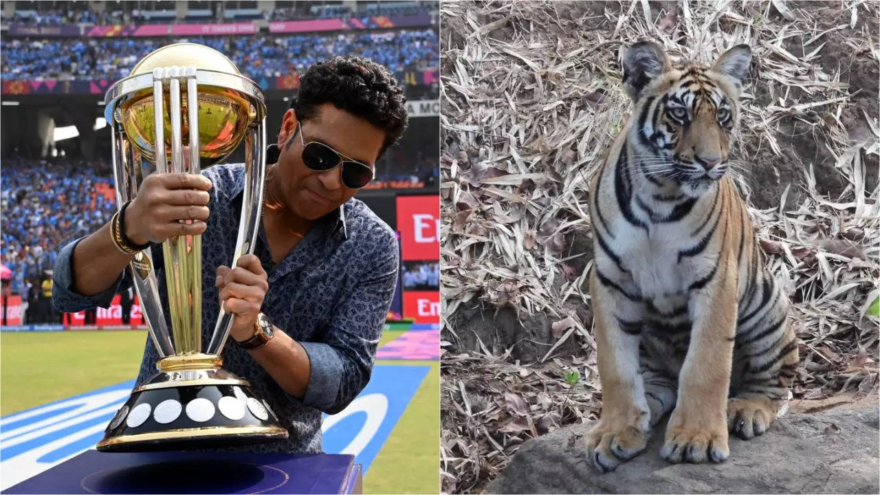 ''Deeply Rooted In Our Heritage'' : Sachin Tendulkar Bats For Protection Of National Animal On International Tiger Day