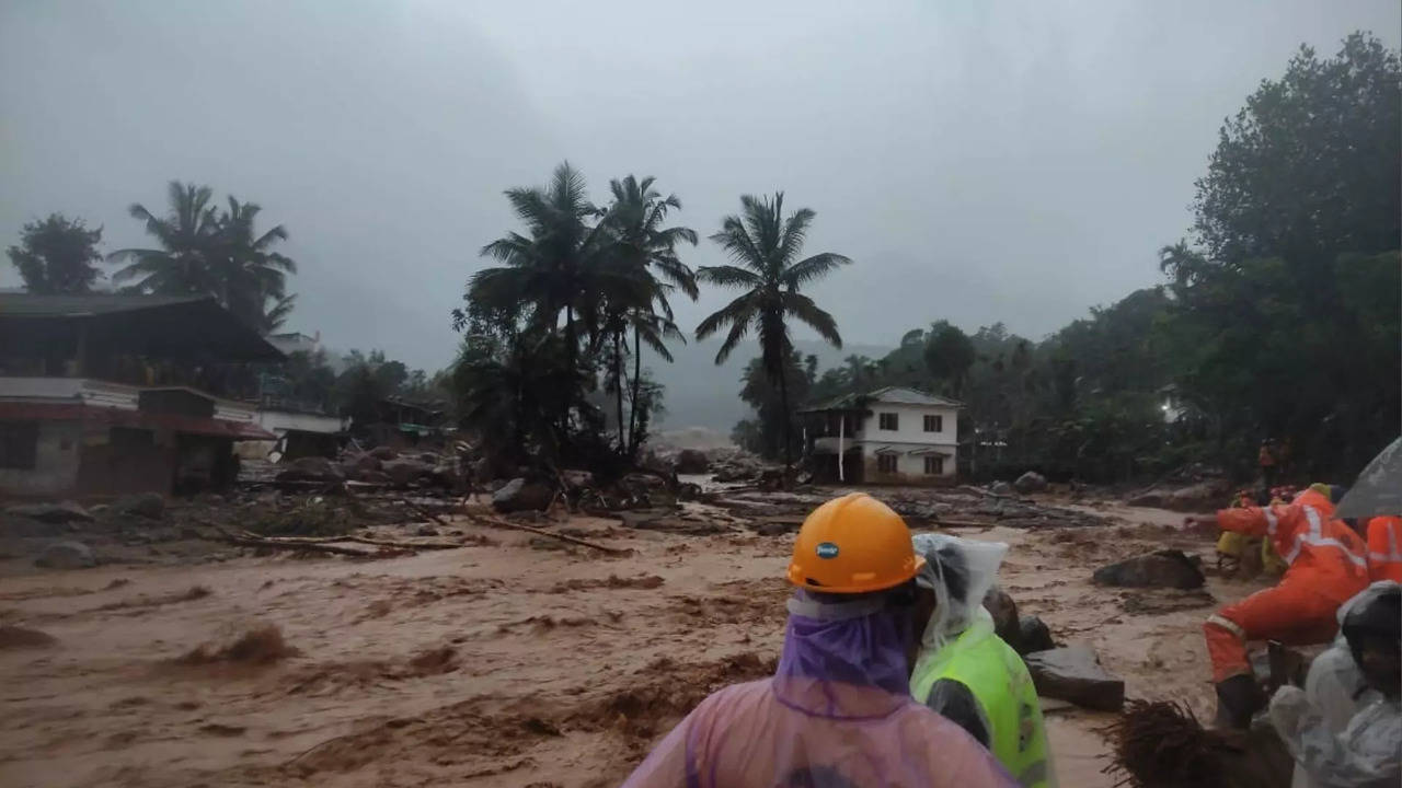 wayanad landslide