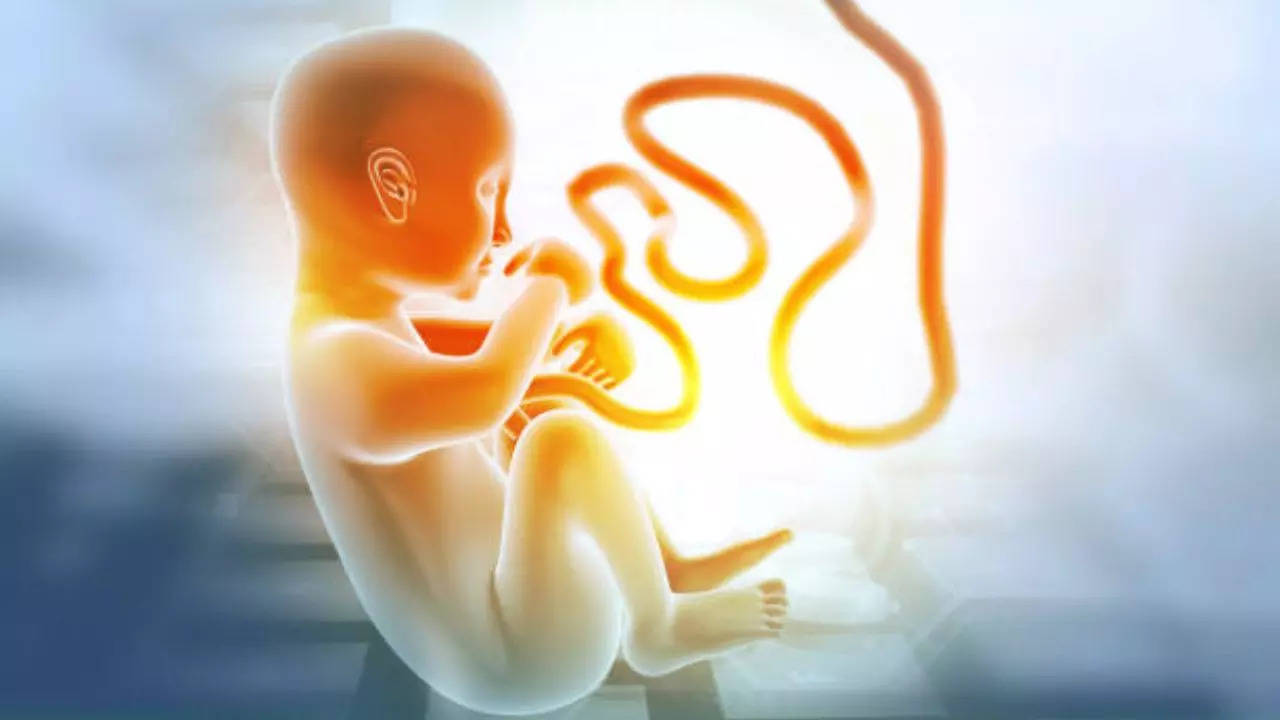 Fatty Acids Present In Umbilical Cord Can Cause Autism