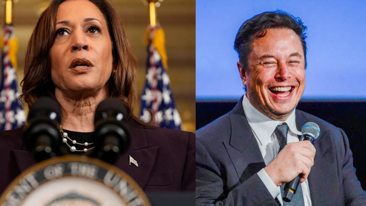 Musk Mocks Harris