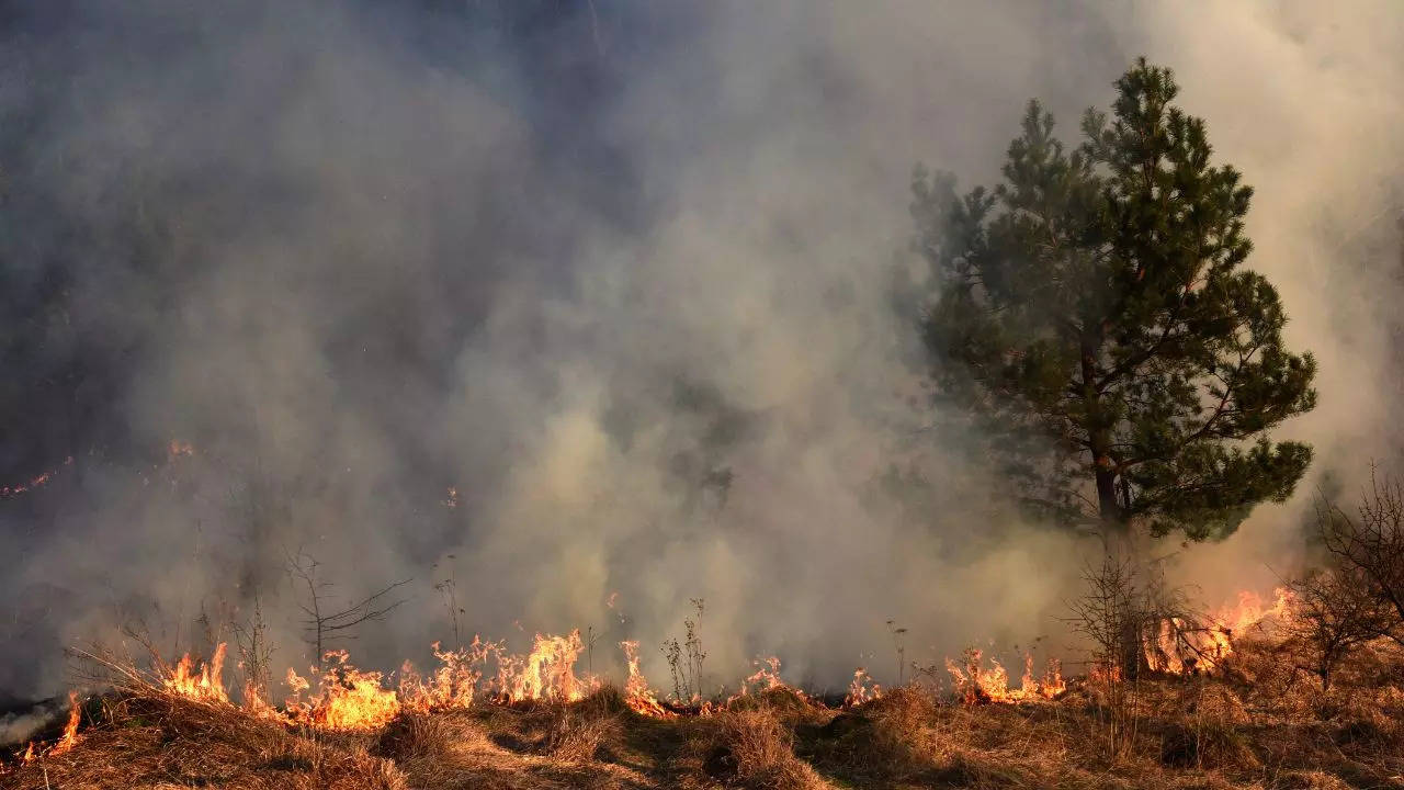 Exposure To Wildfire Smoke Can Increase Your Risk Of Dementia​